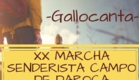 Marcha senderista Campo de Daroca